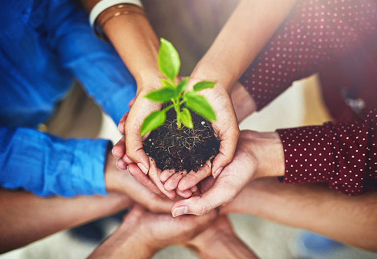 Hands with Growing Plant Hands with Growing Plant