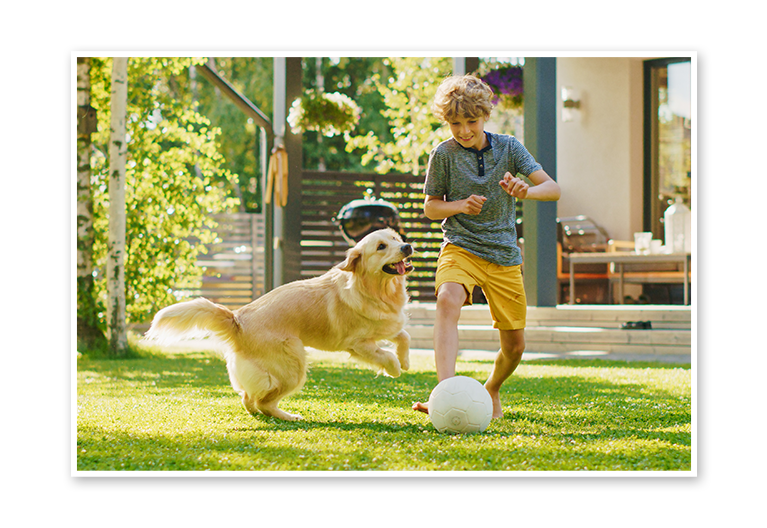 Playing with Dog Playing with Dog