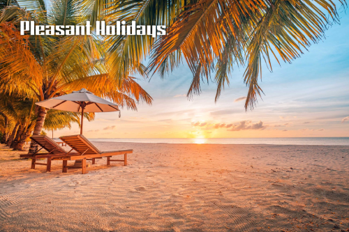 A sandy beach with palm trees and beach chairs