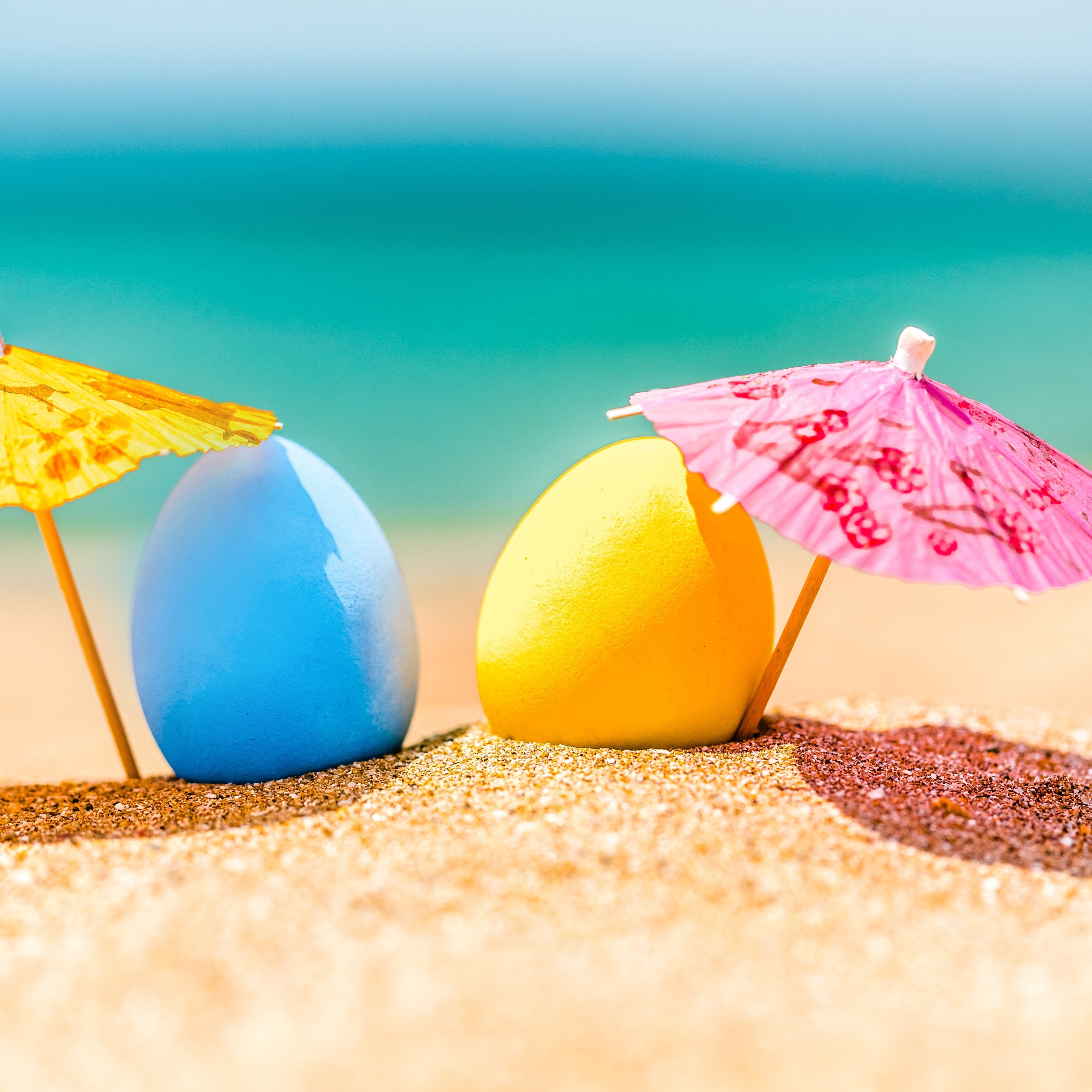 Florida remains the most popular destination for local travelers