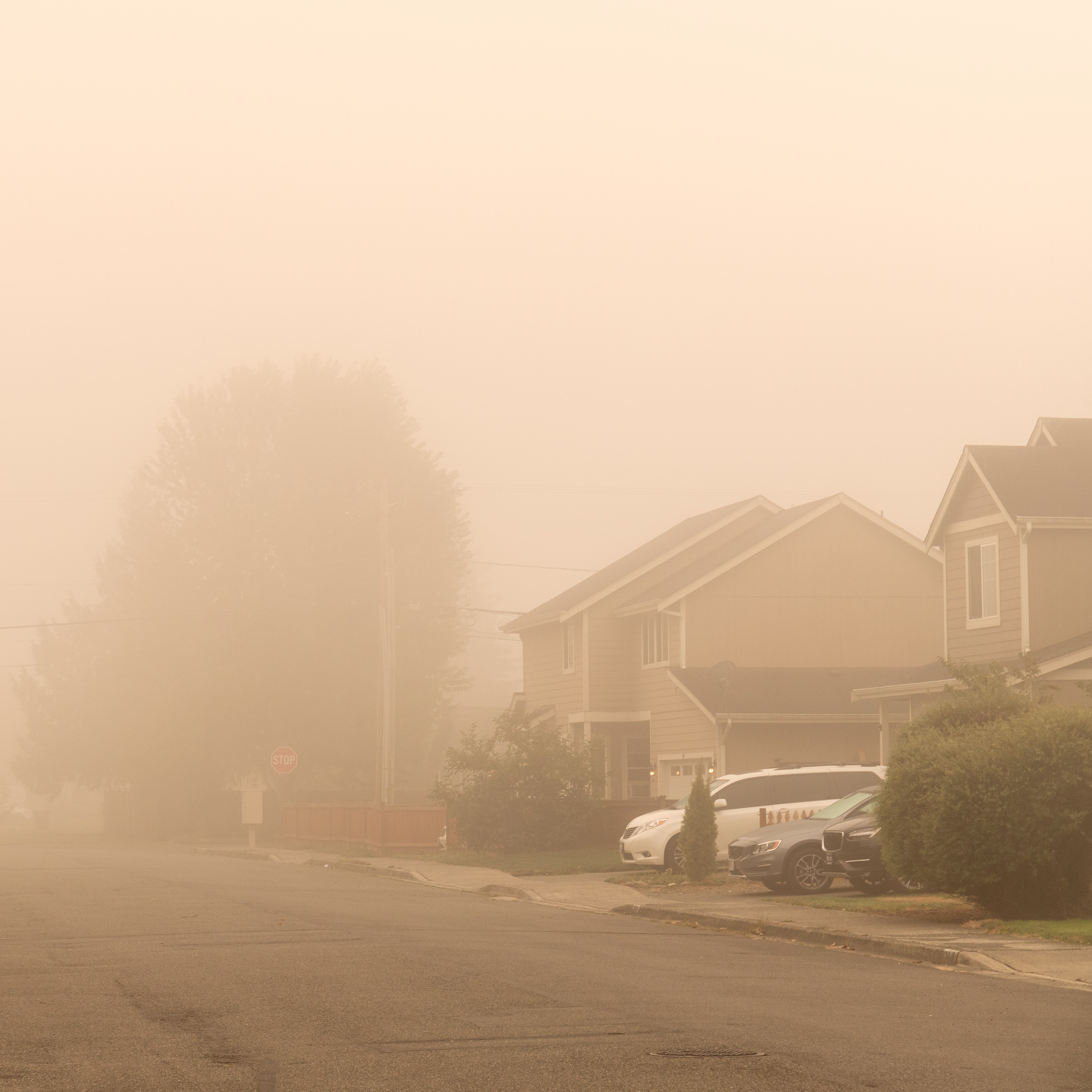 Drivers should take steps to prevent harmful particles from entering or damaging vehicles