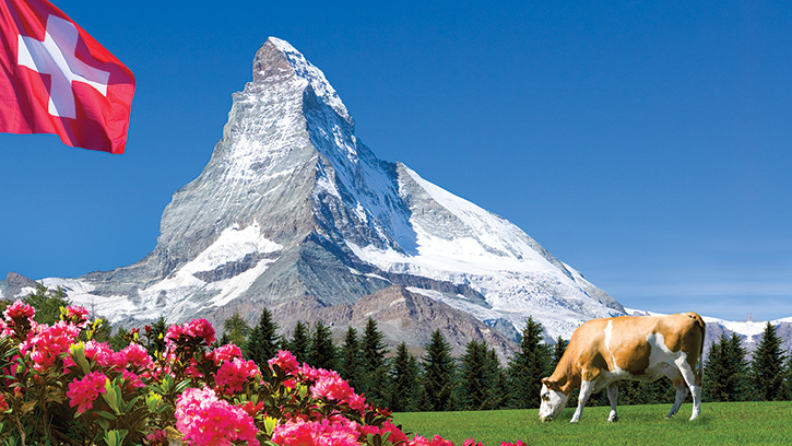 Cow grazing beside a Swiss flag, tall mountain in the background 