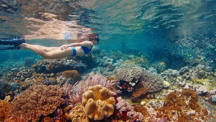 Person snorkeling in a coral reef