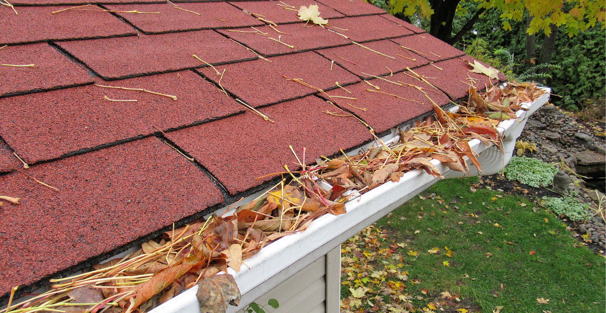 House roof with leaves in gutter