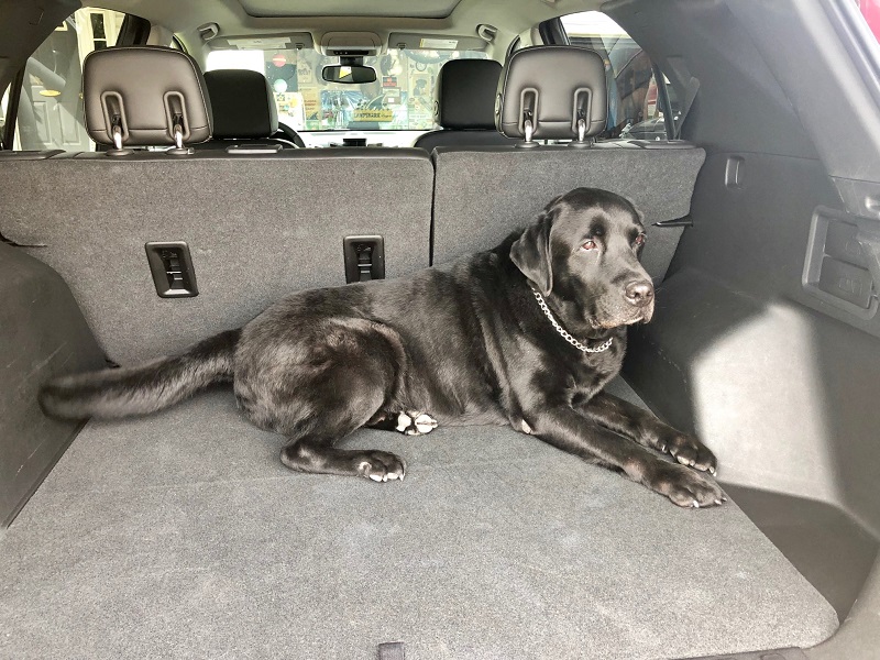 The Equinox interior is designed for easy cleanup for pet travel.