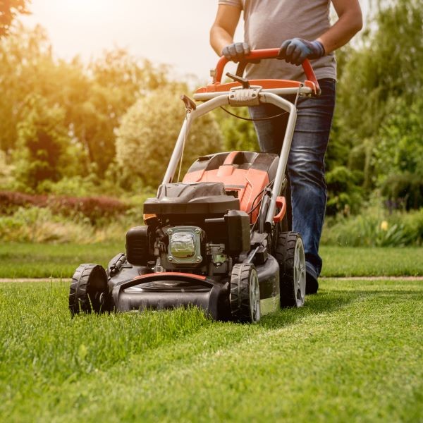 AAA shares tips for staying safe while sprucing up the yard