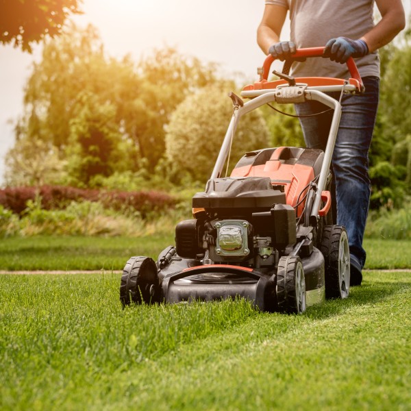 AAA shares tips for staying safe while sprucing up the yard