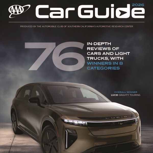 Electric Vehicles Lead Nationwide
