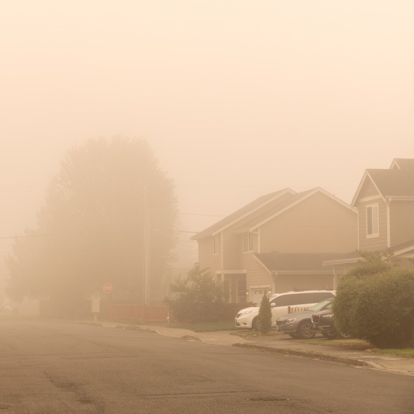 Drivers should take steps to prevent harmful particles from entering or damaging vehicles
